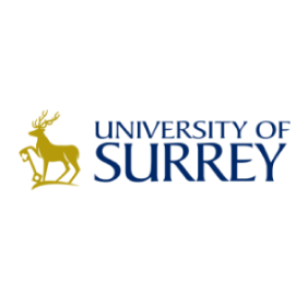 university of surrey
